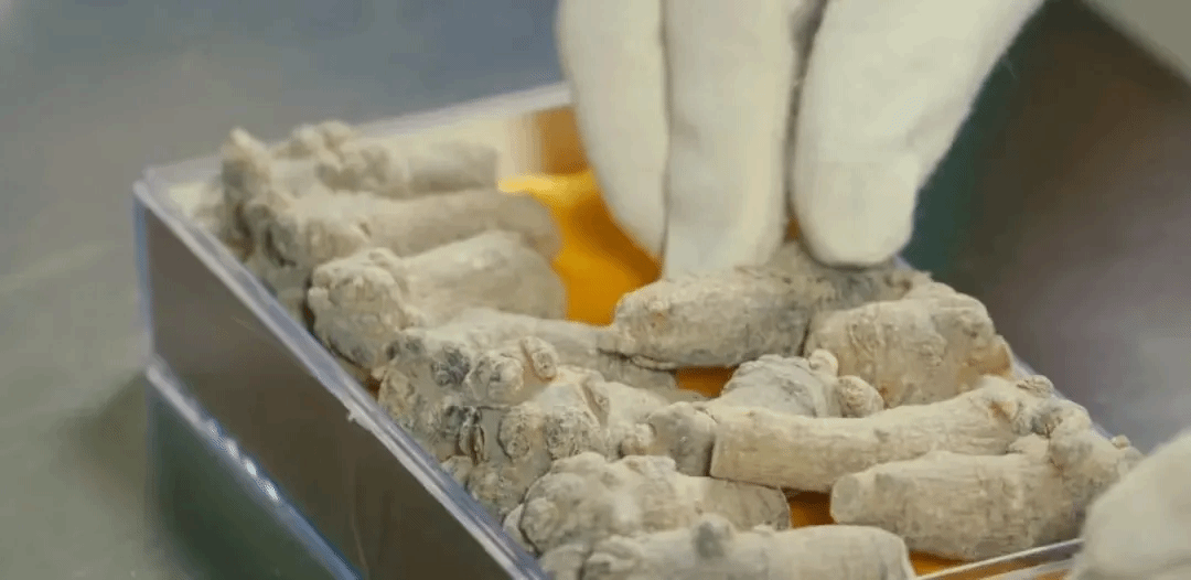 PG电子·仿照器(试玩游戏)官方网站