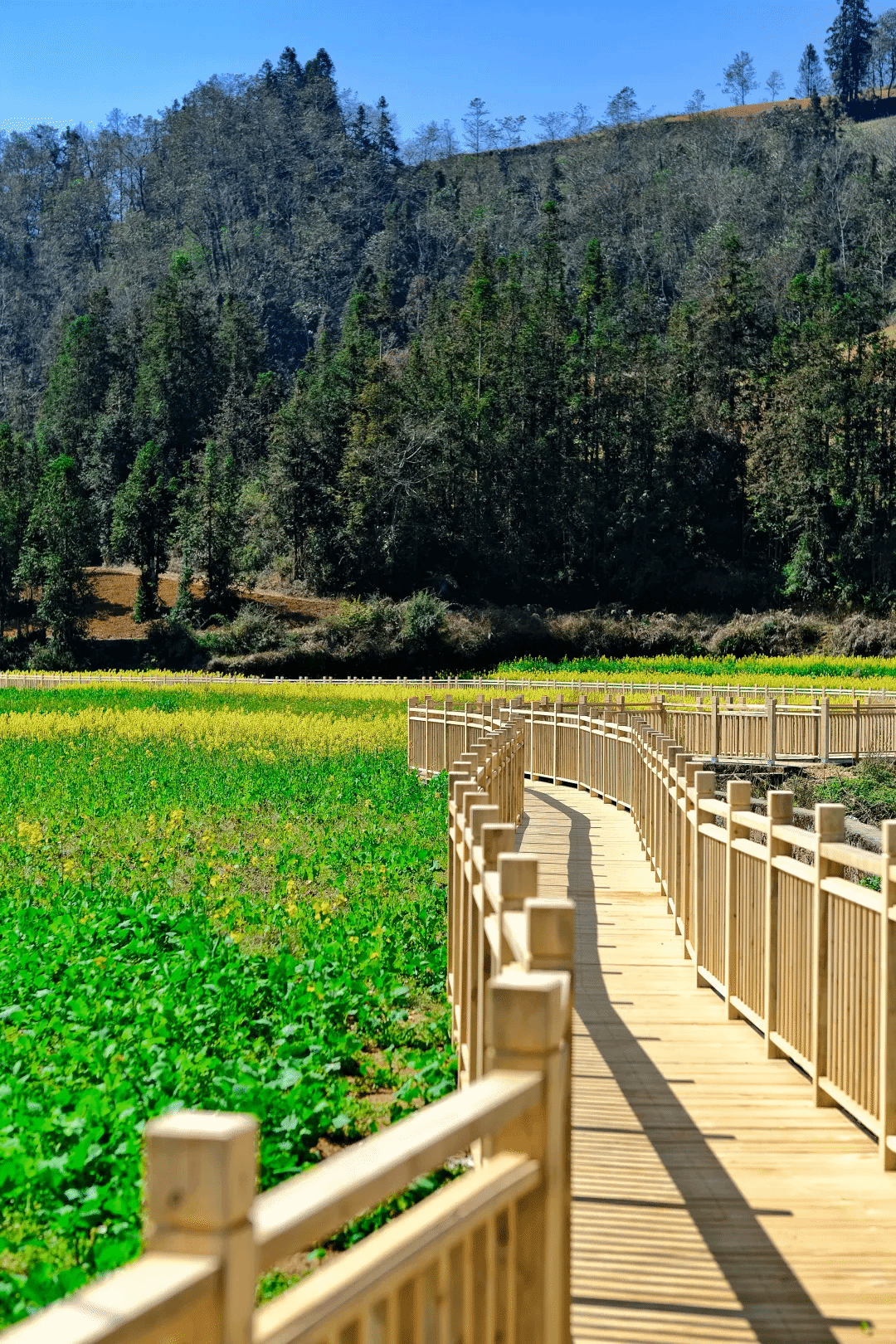 PG电子·仿照器(试玩游戏)官方网站