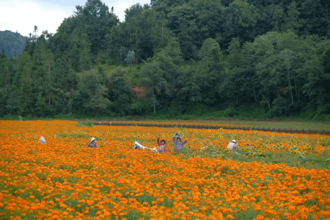PG电子·仿照器(试玩游戏)官方网站