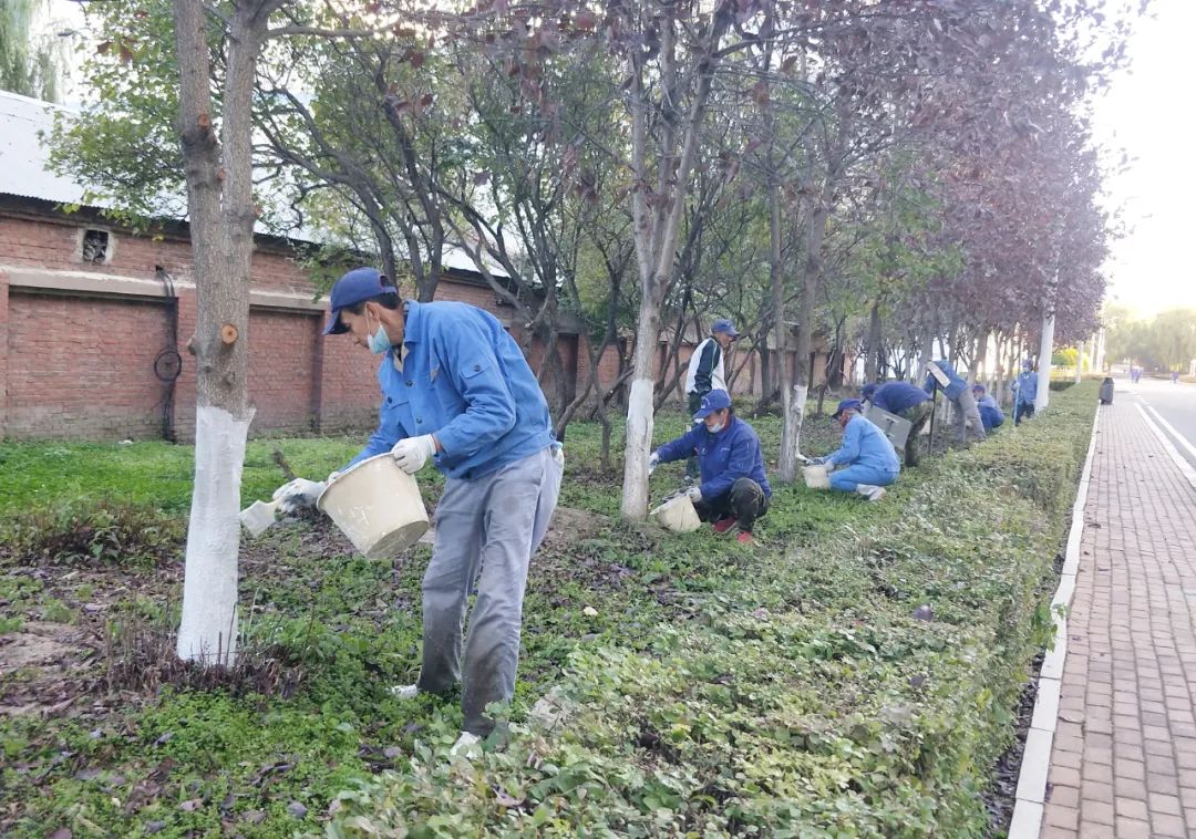 PG电子·仿照器(试玩游戏)官方网站