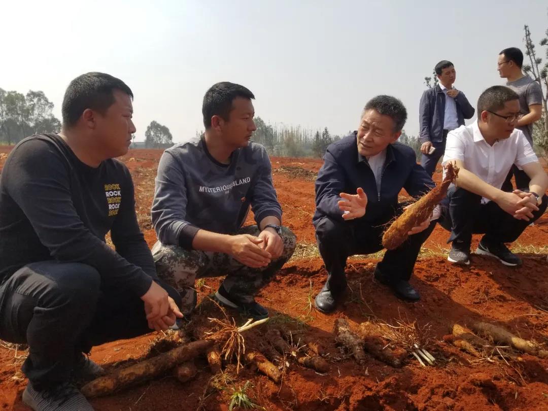 PG电子·仿照器(试玩游戏)官方网站