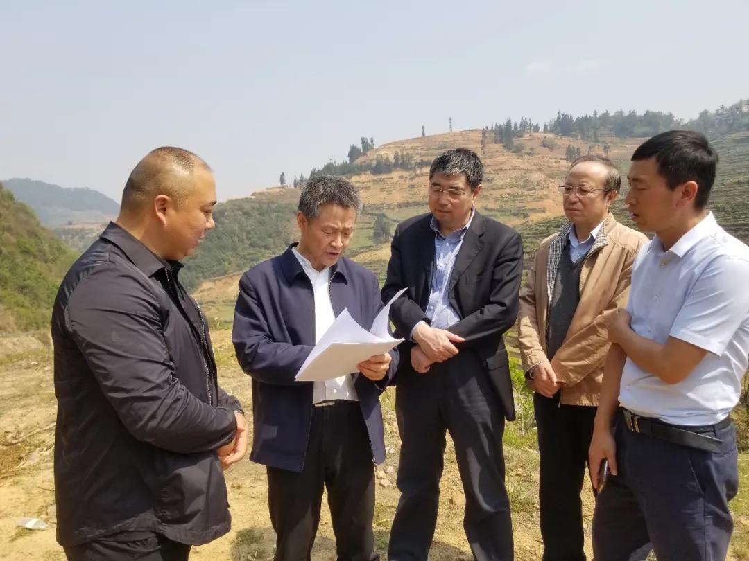 PG电子·仿照器(试玩游戏)官方网站